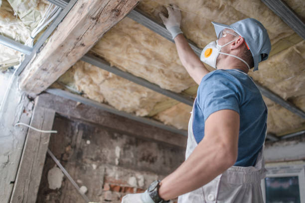 Best Insulation Replacement Services  in University Park, IL