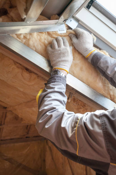Best Best Insulation Companies  in University Park, IL