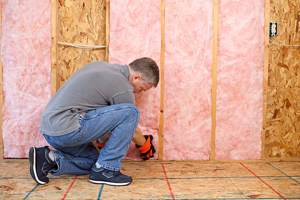 Best Garage Insulation Installation  in University Park, IL