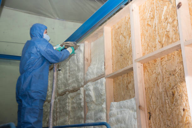 Best Insulation Contractor Near Me  in University Park, IL